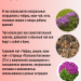 Чайный напиток Полезная ботаника Чабрец Шишки Иван-чай 75 грамм, 2 штуки