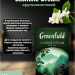Чай зеленый Greenfield Jasmine Dream 200 грамм 2 штуки