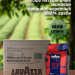 Кофе в зернах Lavazza Top Class 1 кг 2 штуки