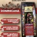 Кофе в зернах Brocelliande Dominicana 250 грамм 2 пачки