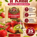 Чай черный Basilur Клубника и Киви 25 пак, без конверта, 3 штуки