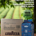 Кофе в зернах Lavazza Crema e Aroma 1 кг (синяя) 2 штуки