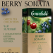 Чай зеленый Greenfield Berry Sonata 25 пакетиков