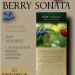 Чай зеленый Greenfield Berry Sonata 25 пакетиков