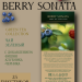 Чай зеленый Greenfield Berry Sonata 25 пакетиков