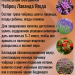 Чайный напиток Полезная ботаника Чабрец Лаванда Ягода 75 грамм